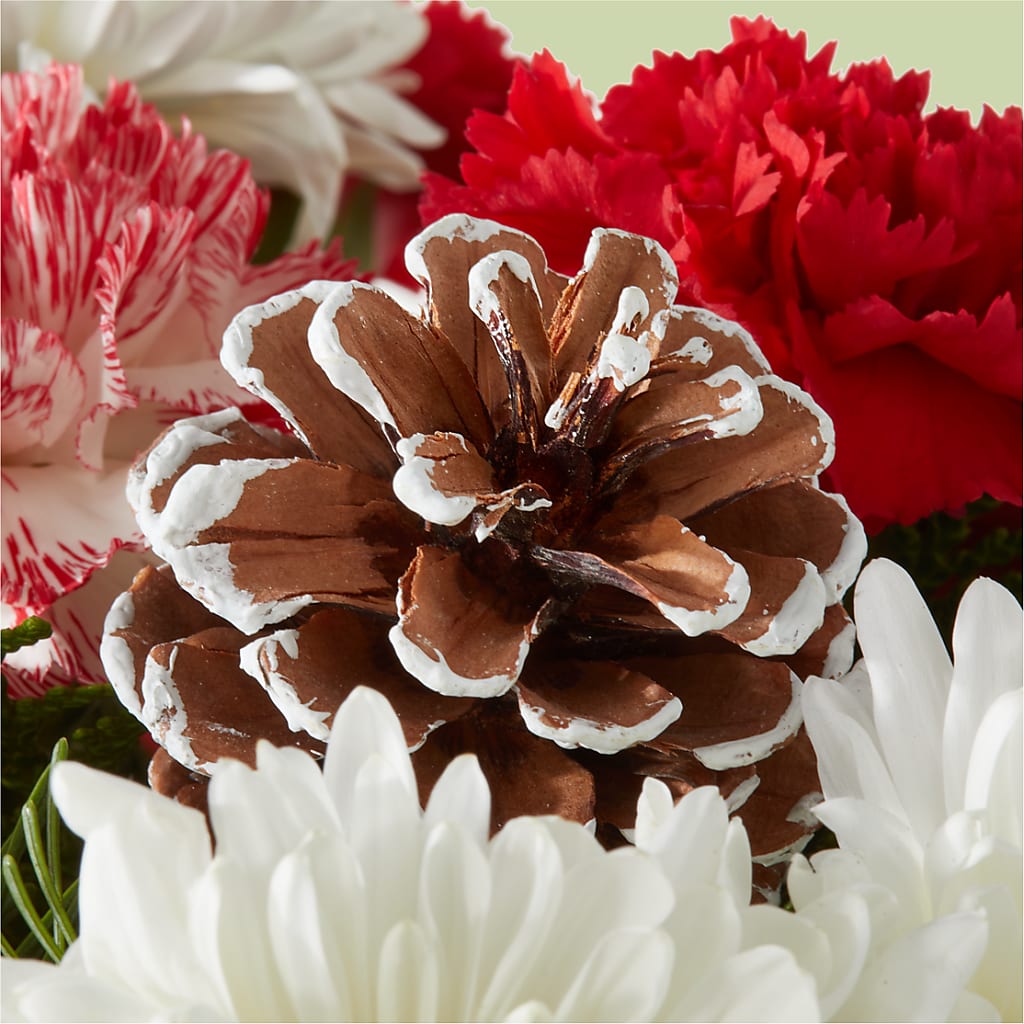 Candy Cane Lane Bouquet – FLOWER HOUSE PLANTS & BLOOMS, Willowick OH