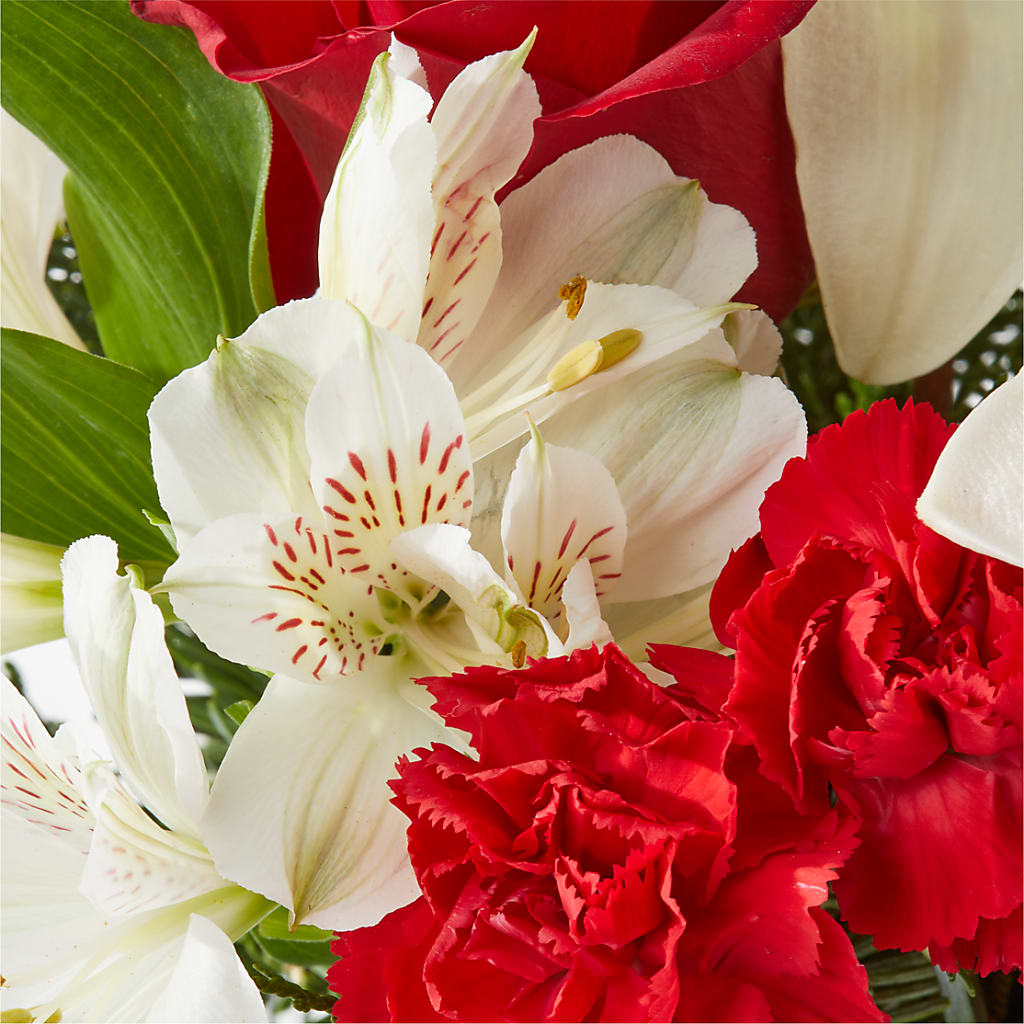 Holiday Season Bouquet – FLOWER HOUSE PLANTS & BLOOMS, Willowick OH