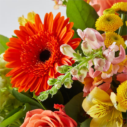 Autumn Sunshine Bouquet – FLOWER HOUSE PLANTS & BLOOMS, Willowick OH