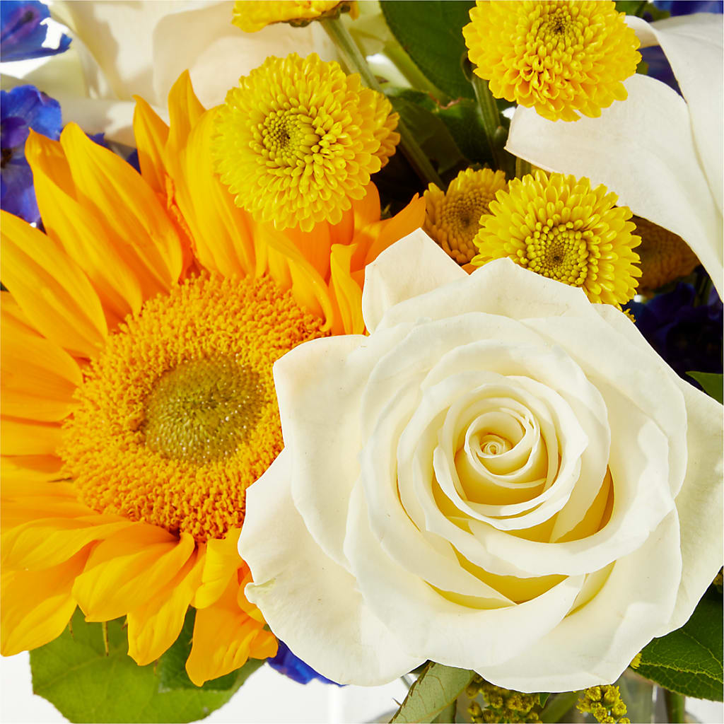 Stargazing Bouquet – FLOWER HOUSE PLANTS & BLOOMS, Willowick OH