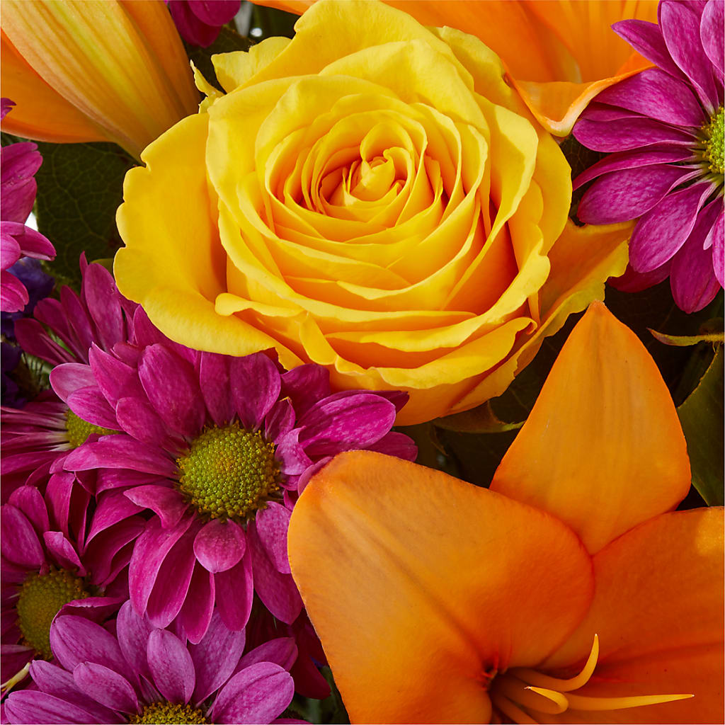 Colorful Visions Bouquet – FLOWER HOUSE PLANTS & BLOOMS, Willowick OH