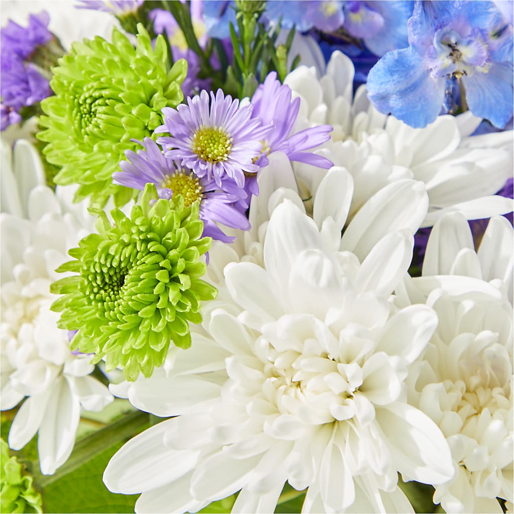 Genuine Gestures Bouquet – FLOWER HOUSE PLANTS & BLOOMS, Willowick OH
