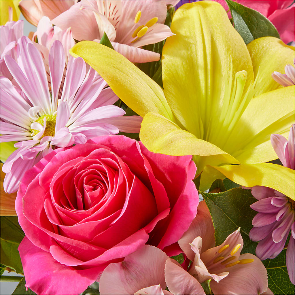 Sprinkles Bouquet – FLOWER HOUSE PLANTS & BLOOMS, Willowick OH