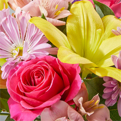 Sprinkles Bouquet – FLOWER HOUSE PLANTS & BLOOMS, Willowick OH
