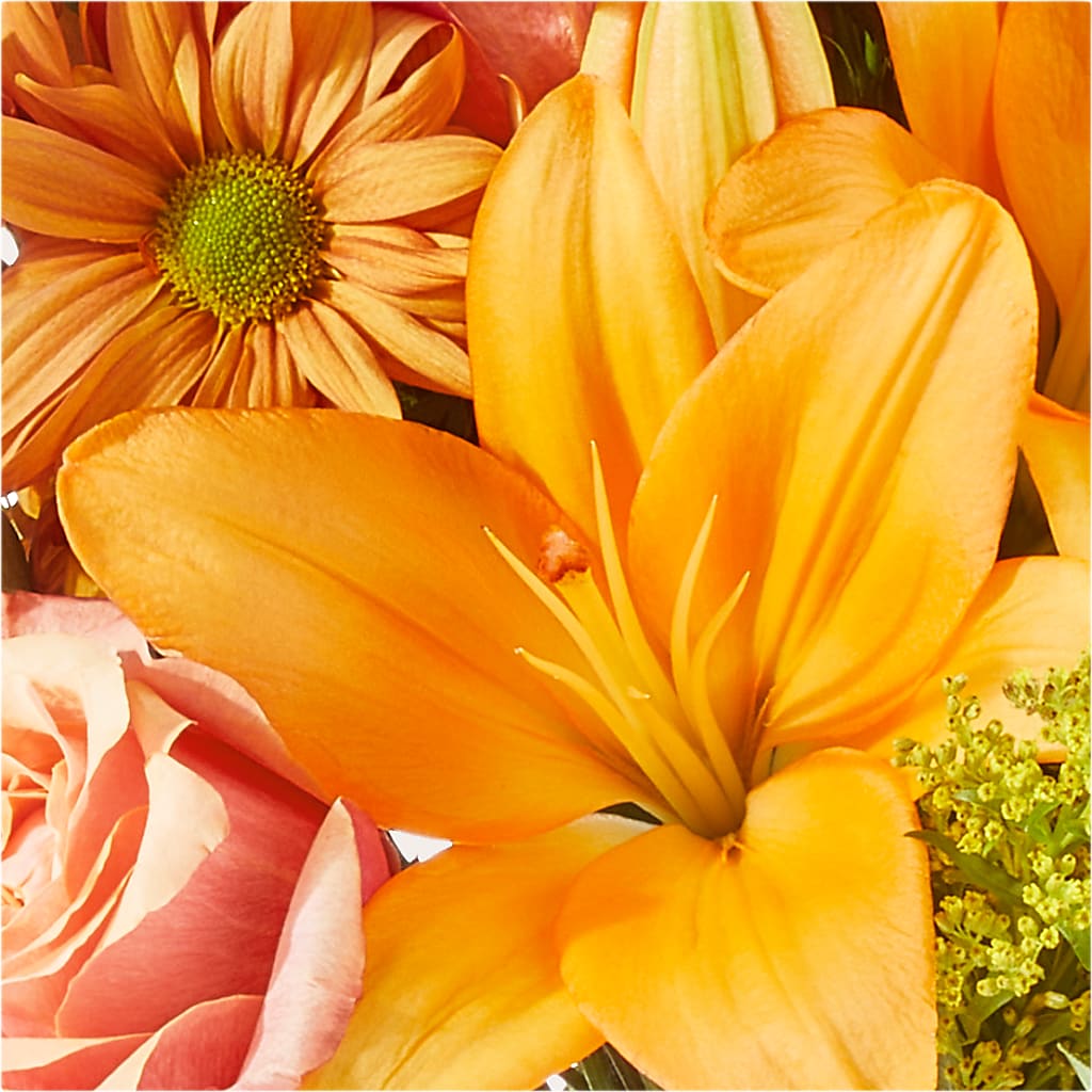 Harvest Hayride Bouquet – FLOWER HOUSE PLANTS & BLOOMS, Willowick OH