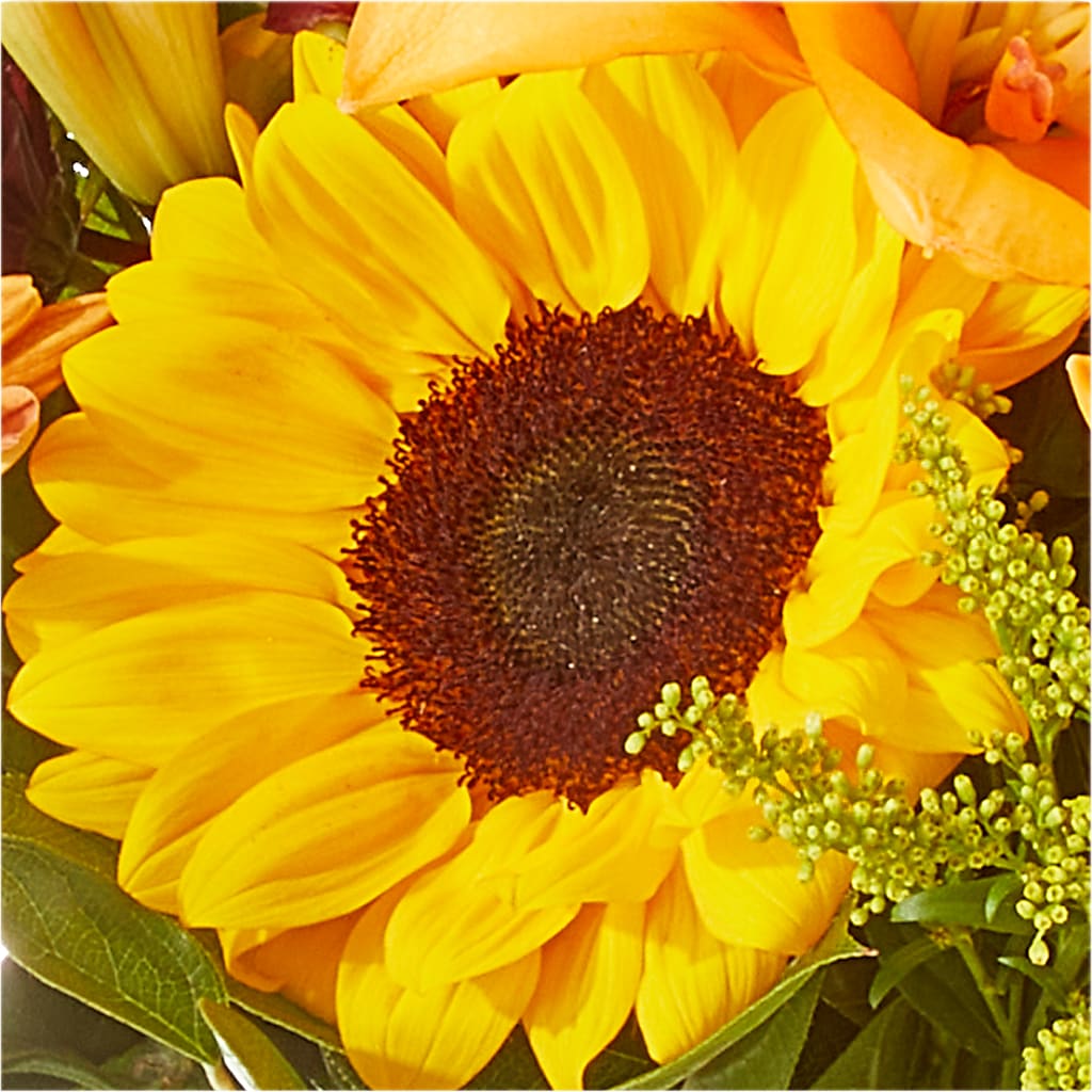Seasons Change Bouquet – FLOWER HOUSE PLANTS & BLOOMS, Willowick OH