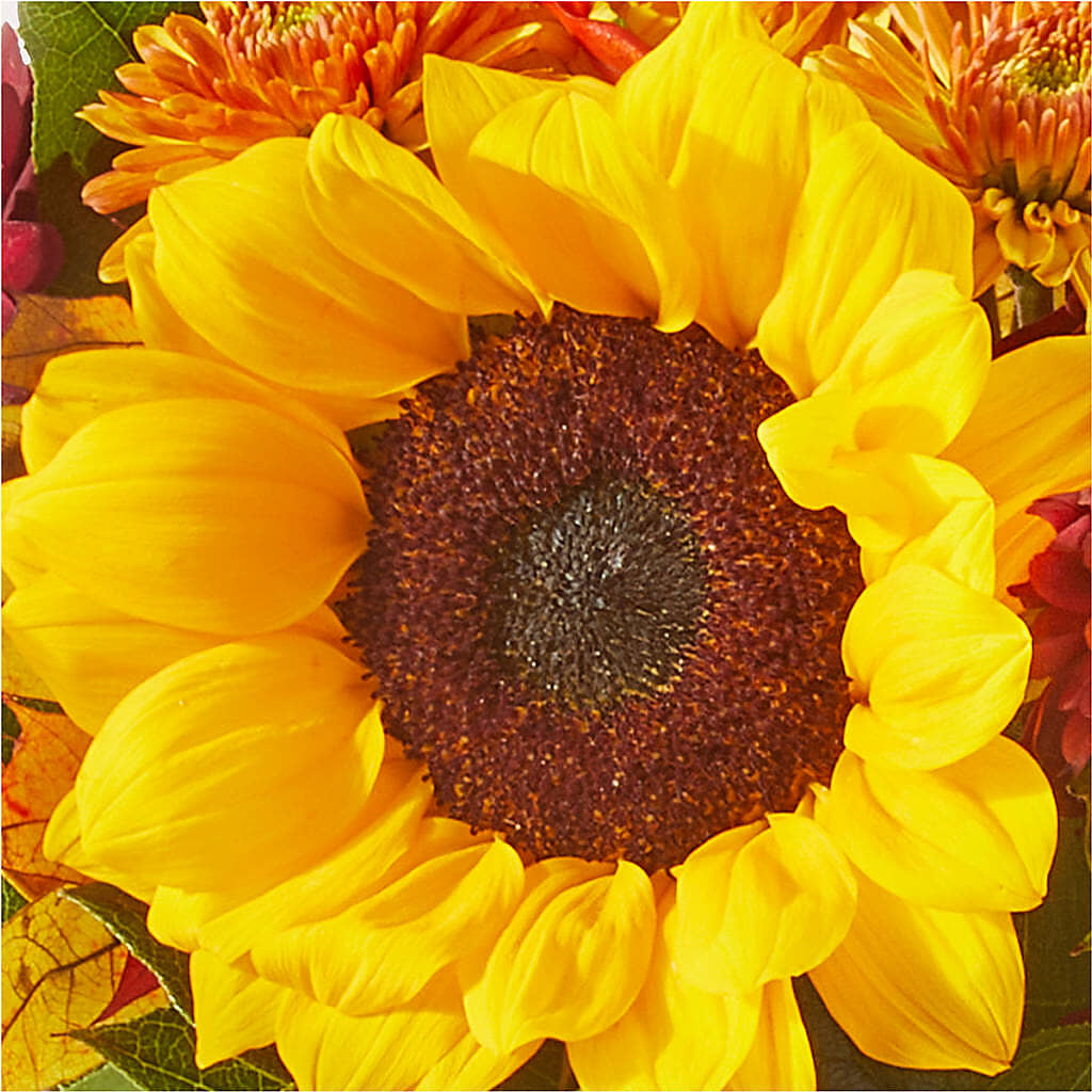 Sunny Side Bouquet – FLOWER HOUSE PLANTS & BLOOMS, Willowick OH