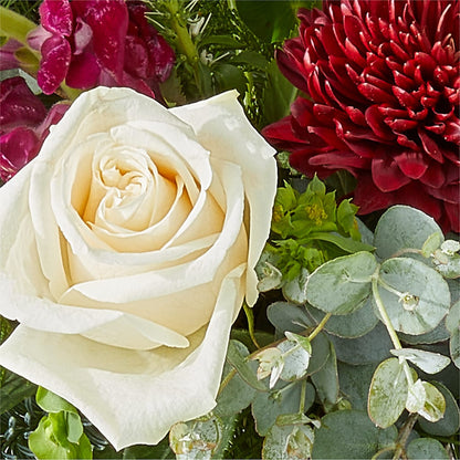Cranberry Fizz Bouquet – FLOWER HOUSE PLANTS & BLOOMS, Willowick OH