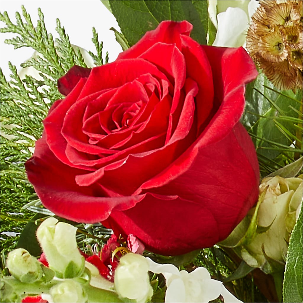 Deck the Halls Bouquet – FLOWER HOUSE PLANTS & BLOOMS, Willowick OH