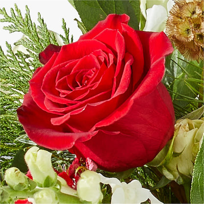 Deck the Halls Bouquet – FLOWER HOUSE PLANTS & BLOOMS, Willowick OH