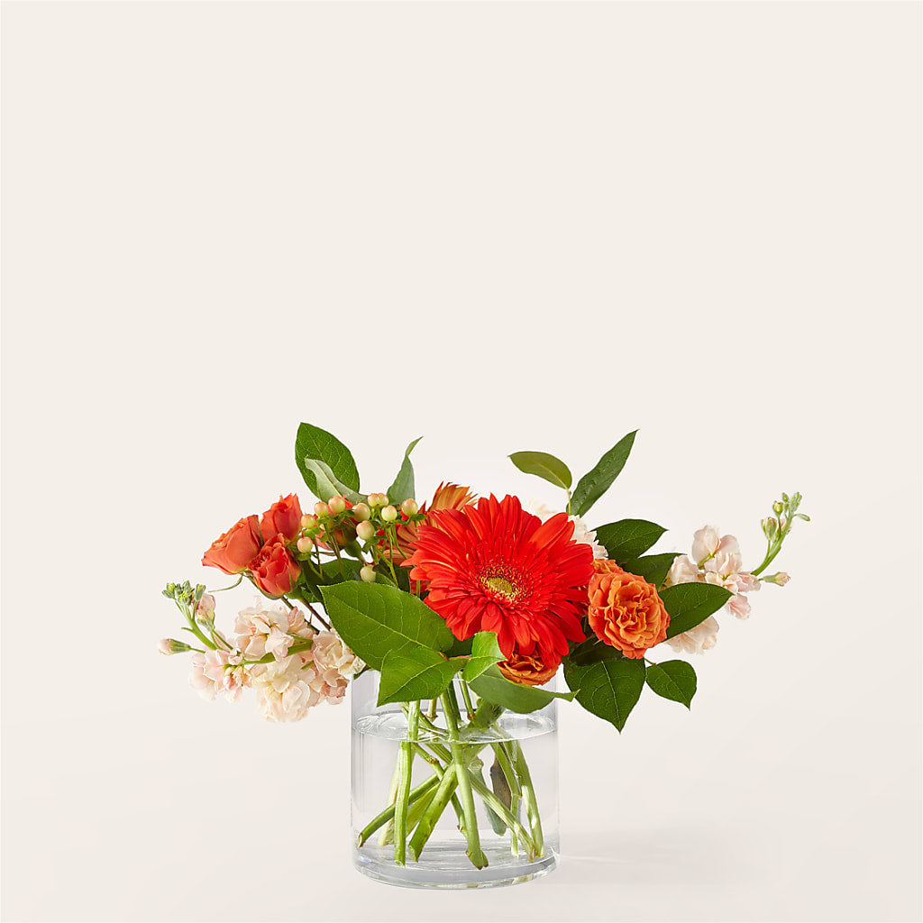 Paloma Please Bouquet – FLOWER HOUSE PLANTS & BLOOMS, Willowick OH