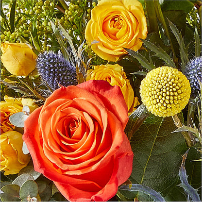 Disco Bouquet – FLOWER HOUSE PLANTS & BLOOMS, Willowick OH