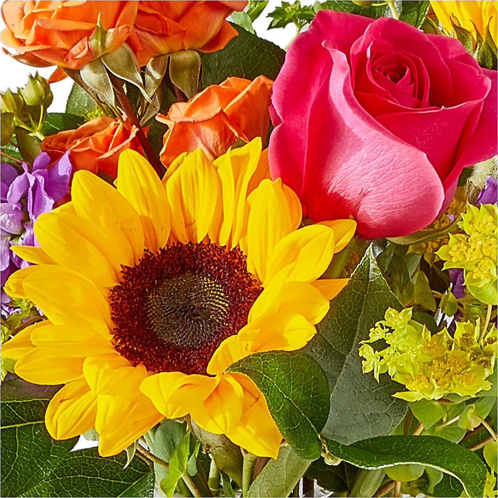 Vibrant Greetings Bouquet – FLOWER HOUSE PLANTS & BLOOMS, Willowick OH