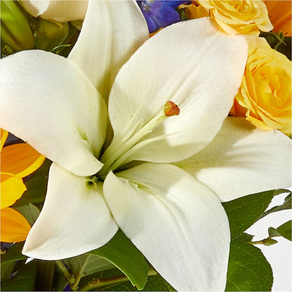 Wonderfully Sunny Bouquet – FLOWER HOUSE PLANTS & BLOOMS, Willowick OH