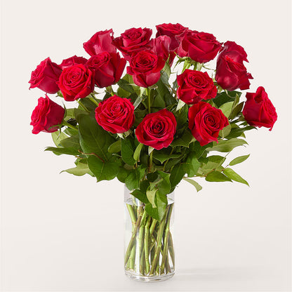 The One Red Rose Bouquet – FLOWER HOUSE PLANTS & BLOOMS, Willowick OH