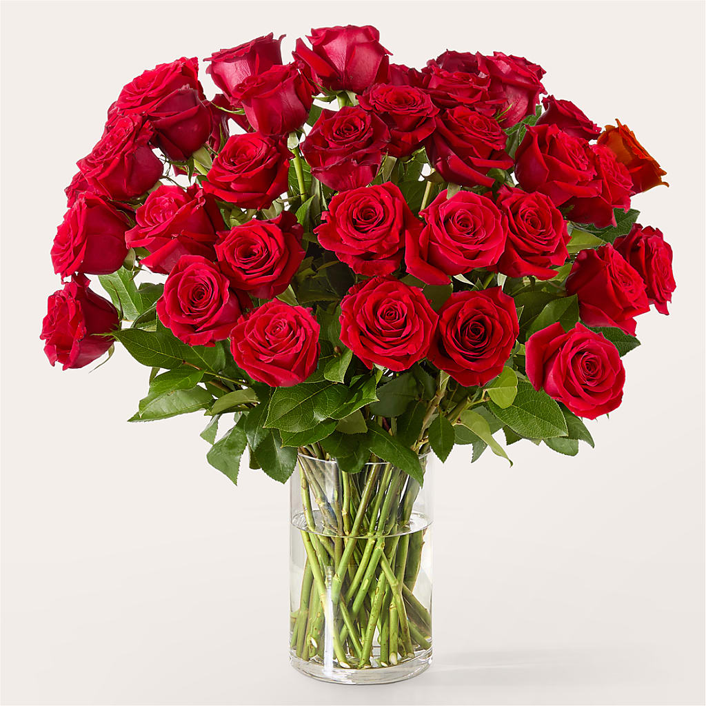 The One Red Rose Bouquet – FLOWER HOUSE PLANTS & BLOOMS, Willowick OH