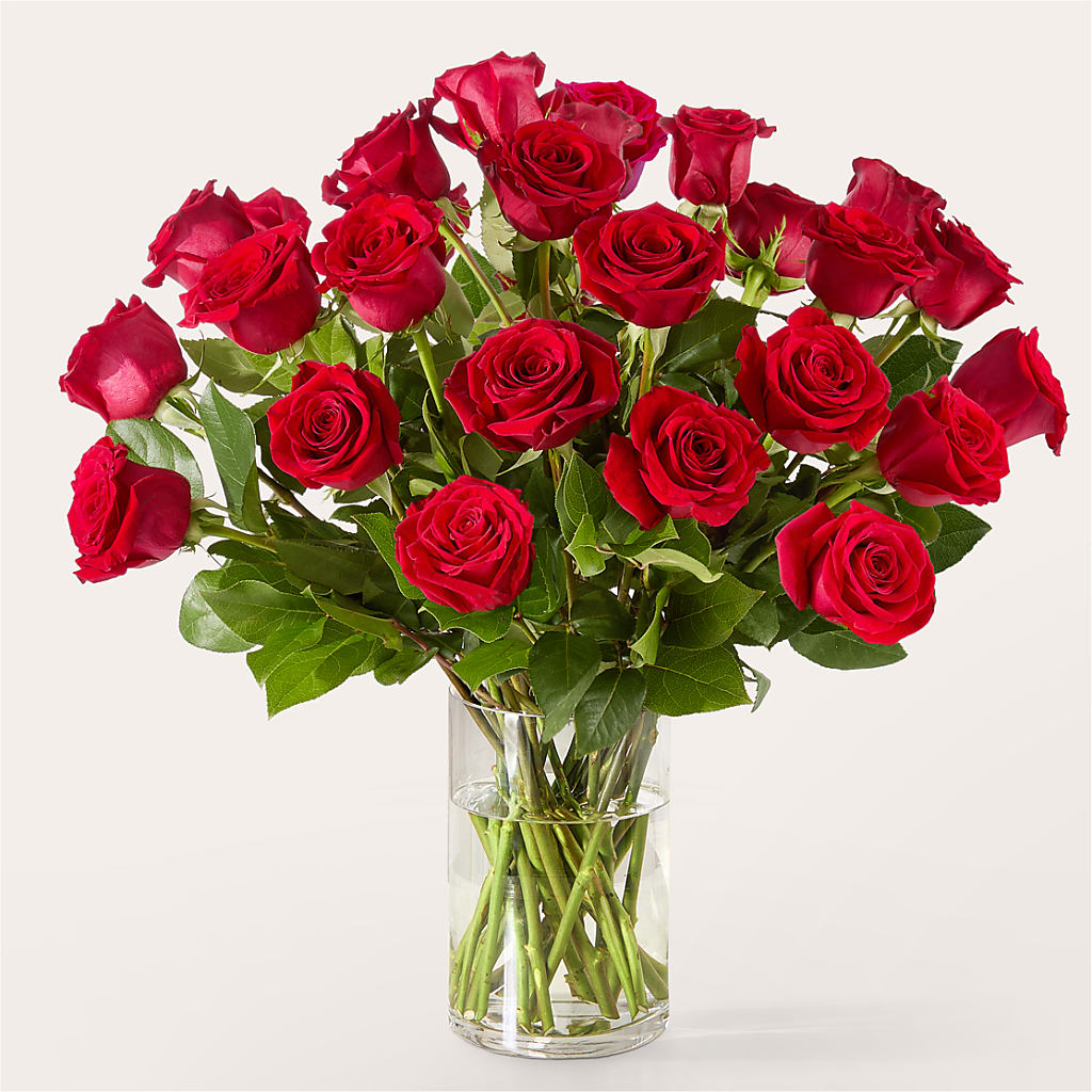 The One Red Rose Bouquet – FLOWER HOUSE PLANTS & BLOOMS, Willowick OH