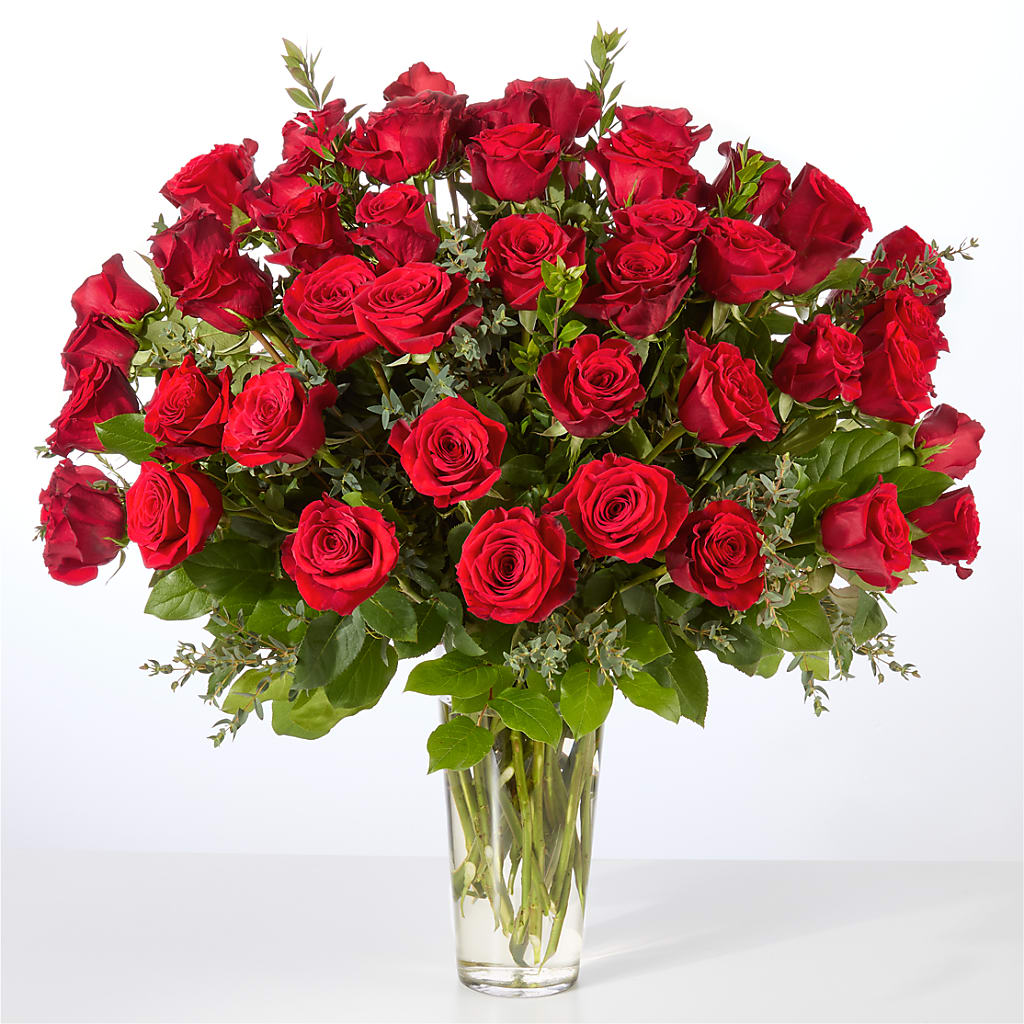 Forever Yours Fifty Stem Red Rose Bouquet – FLOWER HOUSE PLANTS & BLOOMS, Willowick OH