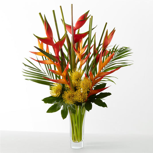 The Drama – FLOWER HOUSE PLANTS & BLOOMS, Willowick OH