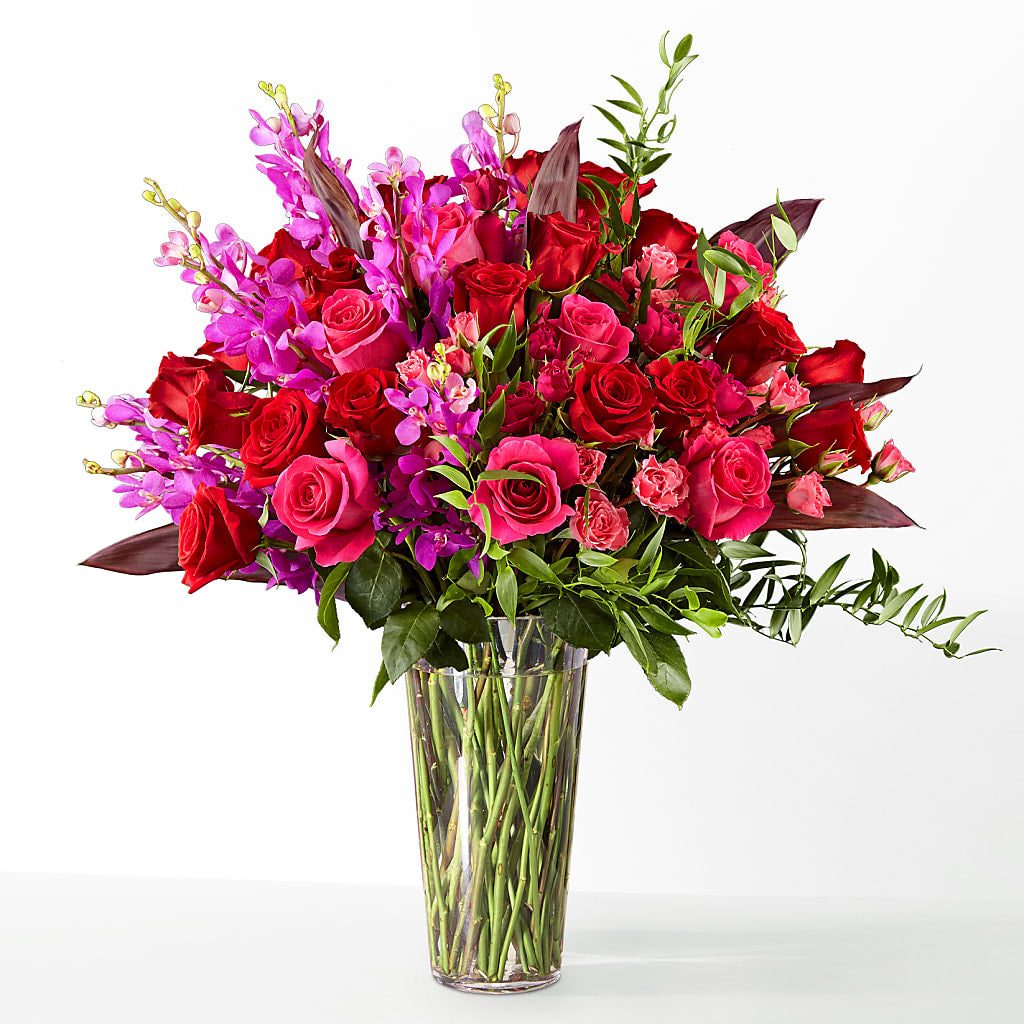 The Honeymoon – FLOWER HOUSE PLANTS & BLOOMS, Willowick OH