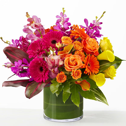 The Mosaic – FLOWER HOUSE PLANTS & BLOOMS, Willowick OH