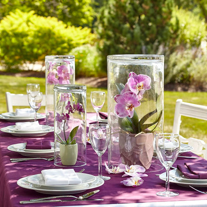 Dramatic Garden Centerpiece – FLOWER HOUSE PLANTS & BLOOMS, Willowick OH
