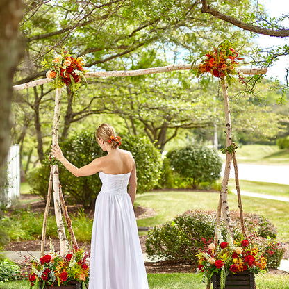 Arbor of Love Archway – FLOWER HOUSE PLANTS & BLOOMS, Willowick OH