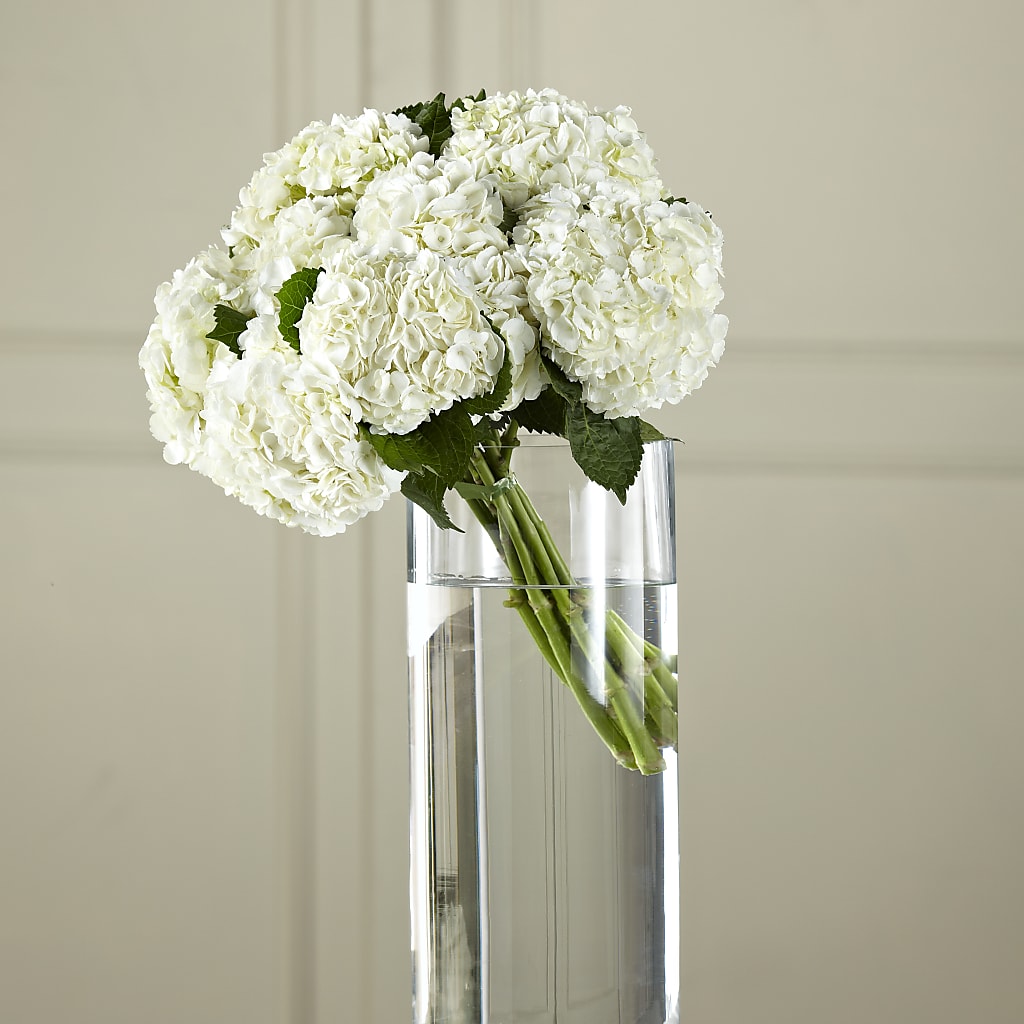 White Hydrangea Hand-Tied Bouquet – FLOWER HOUSE PLANTS & BLOOMS, Willowick OH