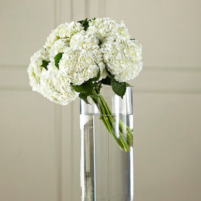 White Hydrangea Hand-Tied Bouquet – FLOWER HOUSE PLANTS & BLOOMS, Willowick OH