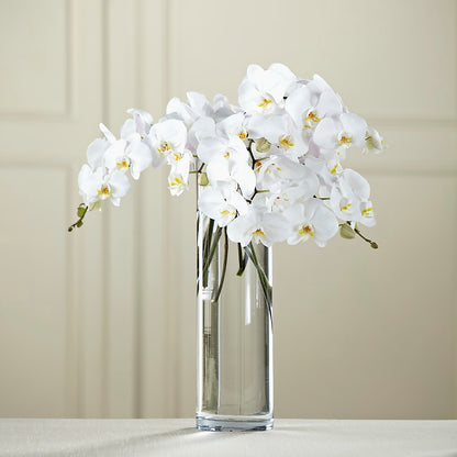 White Phalaenopsis Bouquet – FLOWER HOUSE PLANTS & BLOOMS, Willowick OH