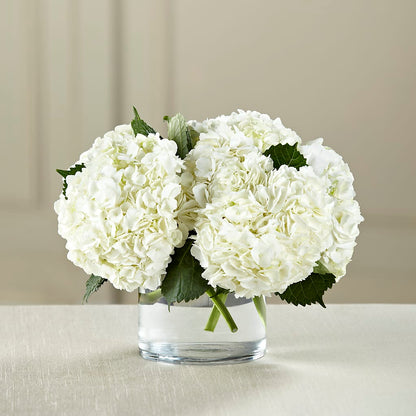 White Hydrangea Bouquet – FLOWER HOUSE PLANTS & BLOOMS, Willowick OH