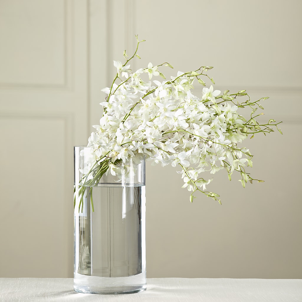 White Dendrobium Bouquet – FLOWER HOUSE PLANTS & BLOOMS, Willowick OH